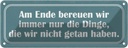 Blechschild 10x27 cm am Ende bereuen wir immer nur Dekoration Spruch Zitat