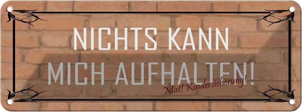Blechschild 10x27 cm nichts kann mich aufhalten Dekoration Spruch Zitat