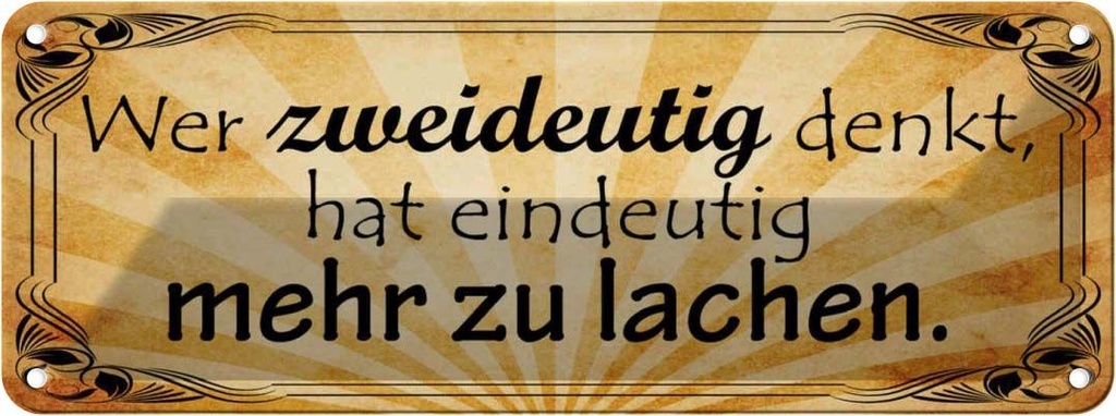Blechschild 10x27 cm wer zweideutig denkt hat Dekoration Spruch Zitat