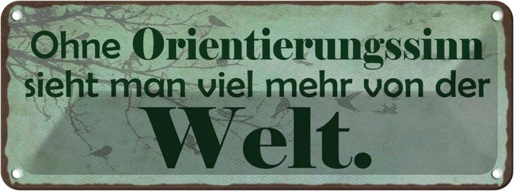 Blechschild 10x27 cm ohne Orientierungssinn sieht man Spruch Zitat