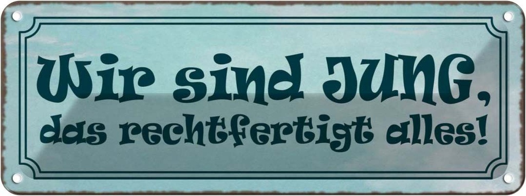 Blechschild 10x27 cm wir jung das rechtfertigt alles Spruch Zitat