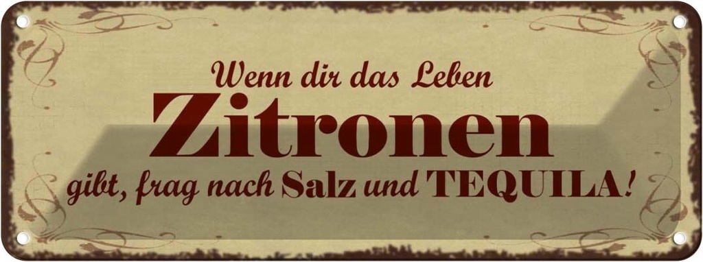 Blechschild 10x27 cm Zitronen gibt frag nach Tequila Essen Trinken