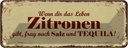 Blechschild 10x27 cm Zitronen gibt frag nach Tequila Essen Trinken