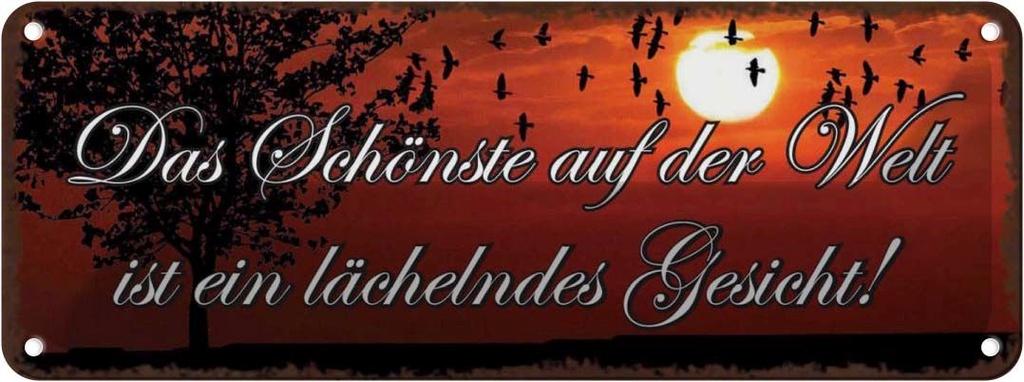 Blechschild 10x27 cm das schönste lächelndes Gesicht Spruch Zitat