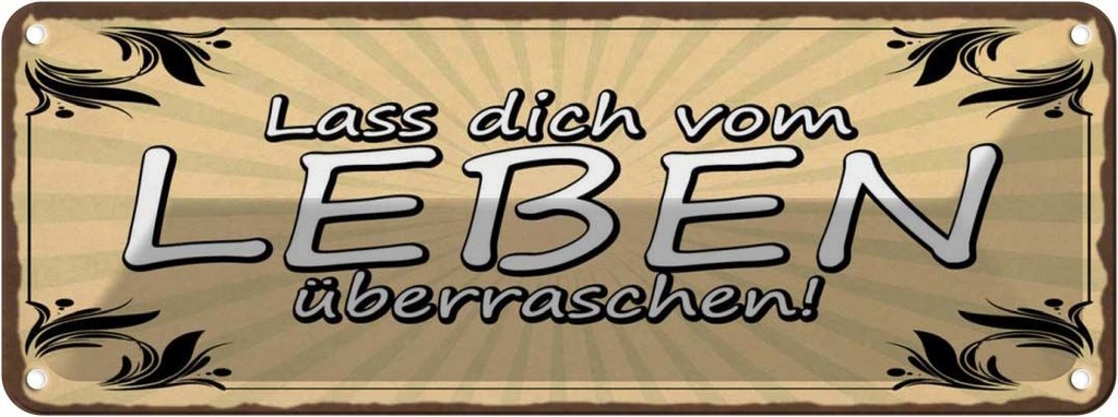 Blechschild 10x27 cm Lass dich vom Leben überraschen Spruch Zitat