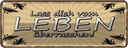 Blechschild 10x27 cm Lass dich vom Leben überraschen Spruch Zitat