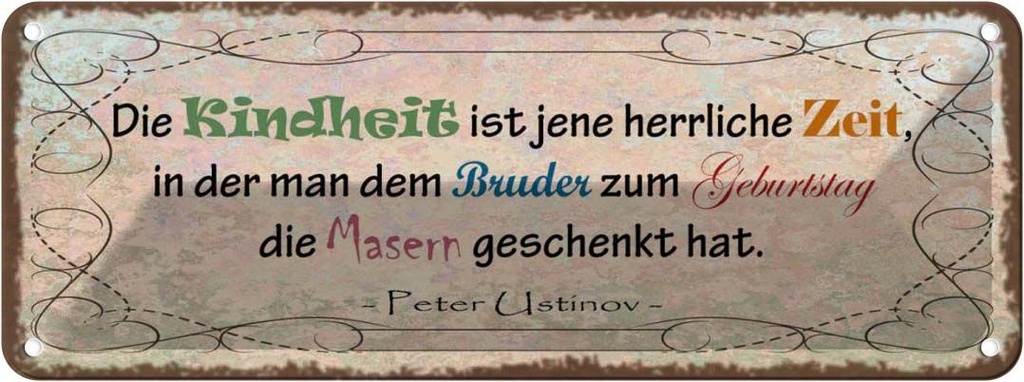 Blechschild 10x27 cm Kindheit Bruder Masern schenkt Dekoration Spruch Zitat