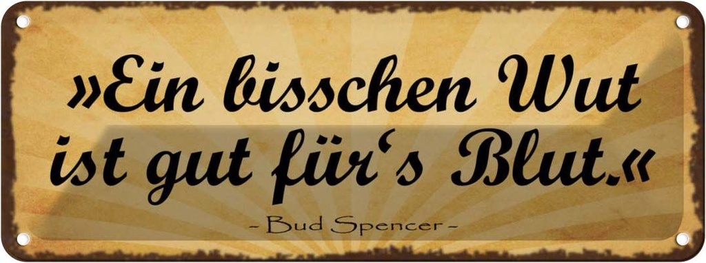 Blechschild 10x27 cm ein bisschen Wut gut für`s Blut Spruch Zitat