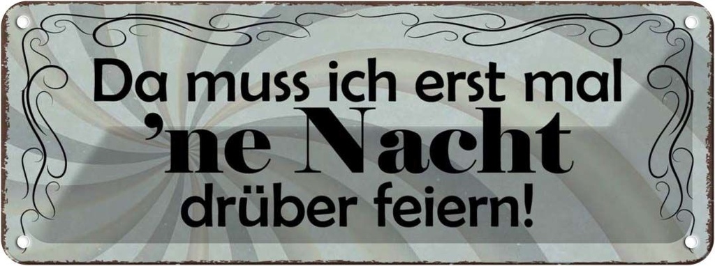 Blechschild 10x27 cm Muss erst mal Nacht drüber feiern Spruch Zitat