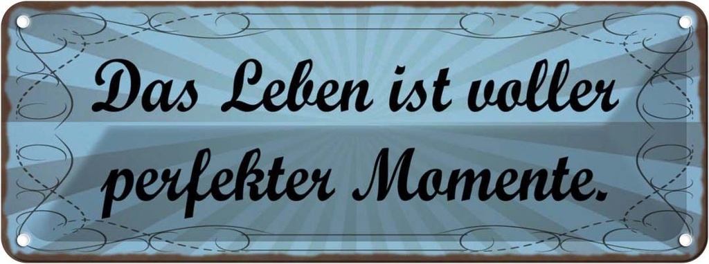 Blechschild 10x27 cm Leben voller perfekter Momente Dekoration Spruch Zitat