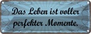 Blechschild 10x27 cm Leben voller perfekter Momente Dekoration Spruch Zitat
