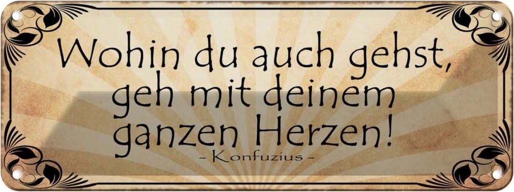 Blechschild 10x27 cm Wohin du gehst geh mit Herzen Dekoration