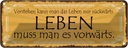 Blechschild 10x27 cm Leben muss man es vorwärts Dekoration Spruch Zitat