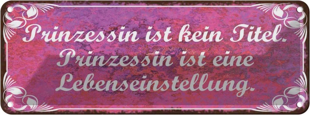 Blechschild 10x27 cm Prinzessin ist kein Titel Dekoration Spruch Zitat