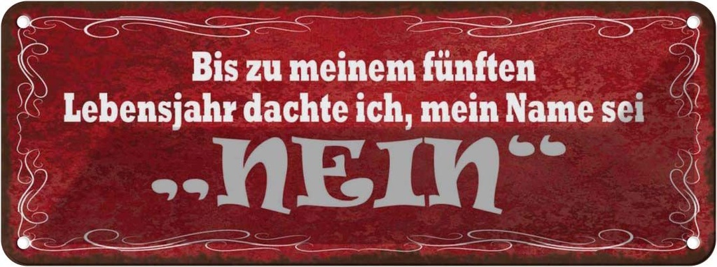 Blechschild 10x27 cm Ich dachte mein Name sei NEIN Dekoration Spruch Zitat