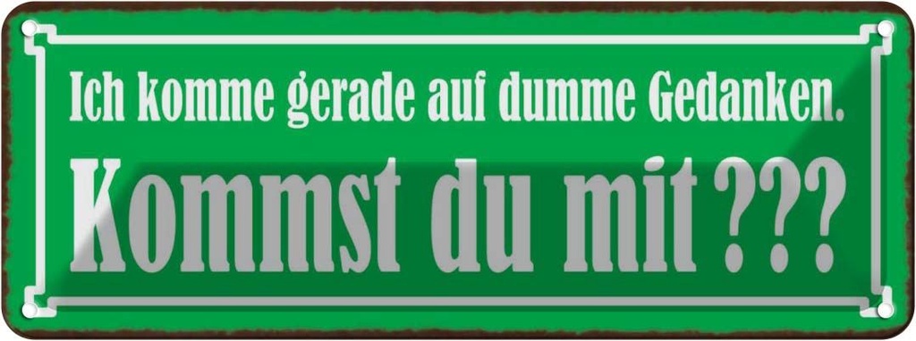 Blechschild 10x27 cm Kommst du mit auf dumme Gedanken Spruch Zitat