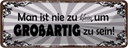 Blechschild 10x27 cm nie zu klein um großartig sein Spruch Zitat