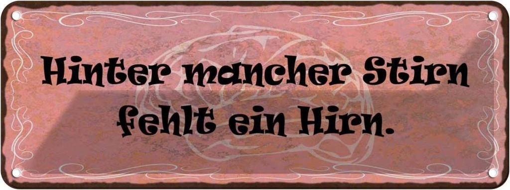 Blechschild 10x27 cm hinter mancher Stirn fehlt Hirn Spruch Zitat