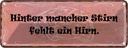 Blechschild 10x27 cm hinter mancher Stirn fehlt Hirn Spruch Zitat