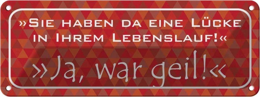 Blechschild 10x27 cm Lücke in Lebenslauf ja war geil Spruch Zitat