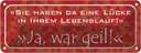 Blechschild 10x27 cm Lücke in Lebenslauf ja war geil Spruch Zitat