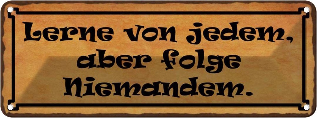 Blechschild 10x27 cm lerne von jedem folge niemandem Spruch Zitat