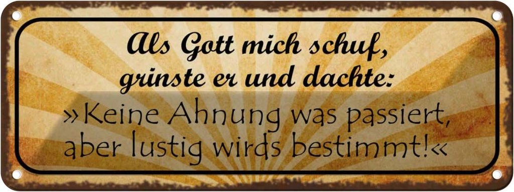 Blechschild 10x27 cm als Gott mich schuf grinste er Spruch Zitat