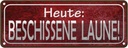 Blechschild 10x27 cm Heute beschissene Laune Dekoration Spruch Zitat