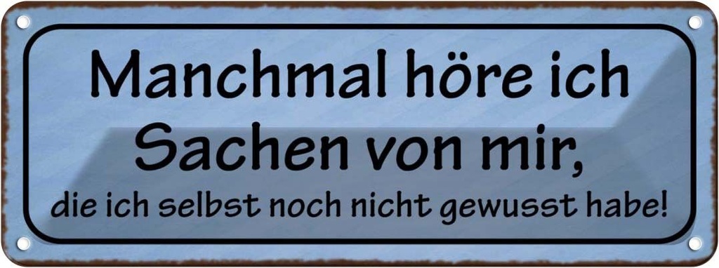 Blechschild 10x27 cm manchmal höre ich Sachen von mir Spruch Zitat