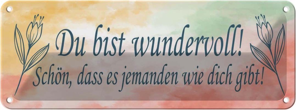 Blechschild 10x27 cm du bist wundervoll schön das es Spruch Zitat