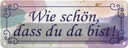 Blechschild 10x27 cm wie schön dass du da bist Dekoration Spruch Zitat