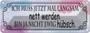 Blechschild 10x27 cm ich muss mal langsam nett werden Spruch Zitat