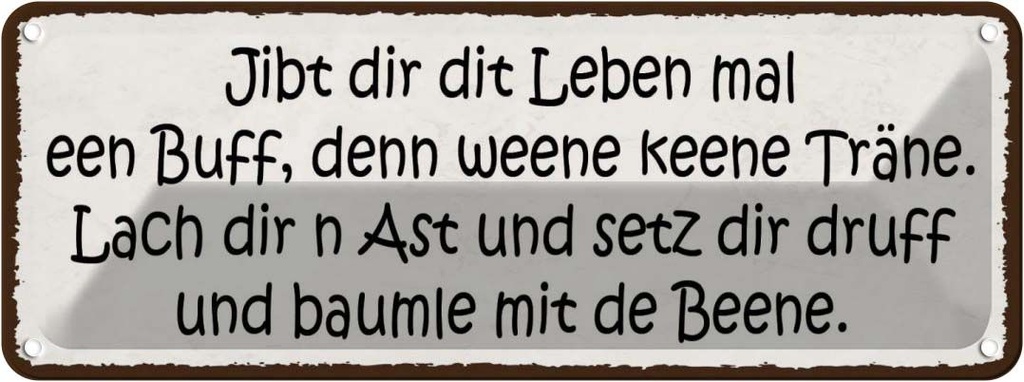 Blechschild 10x27 cm jibt dir dit leben mal nen buff Spruch Zitat