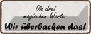 Blechschild 10x27 cm magische Worte wir überbacken es Spruch Zitat
