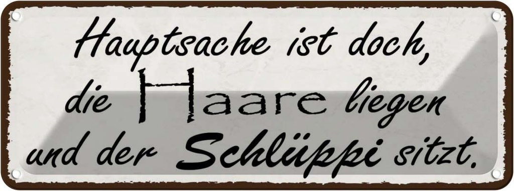 Blechschild 10x27 cm Hauptsache doch die Haare liegen Spruch Zitat