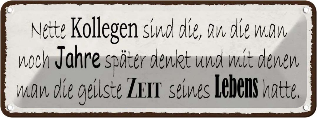 Blechschild 10x27 cm nette Kollegen sind die an Straße Stadt