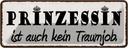 Blechschild 10x27 cm Prinzessin ist kein Traumjob Dekoration Spruch Zitat