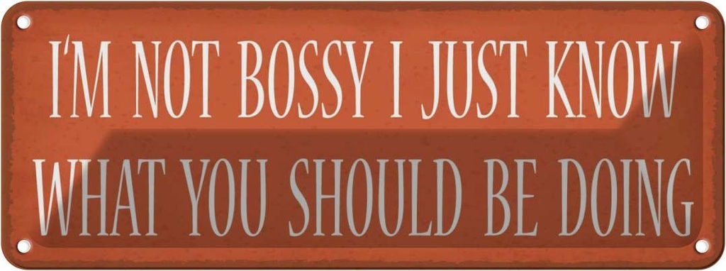 Blechschild 10x27 cm i`m not bossy i just know what Dekoration