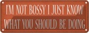 Blechschild 10x27 cm i`m not bossy i just know what Dekoration