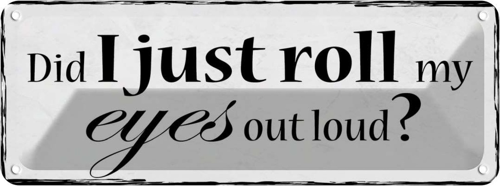 Blechschild 10x27 cm did i just roll my eyes out loud Spruch Zitat