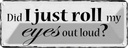 Blechschild 10x27 cm did i just roll my eyes out loud Spruch Zitat