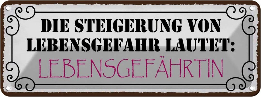 Blechschild 10x27 cm Lebensgefahr Lebensgefährtin Spruch Zitat