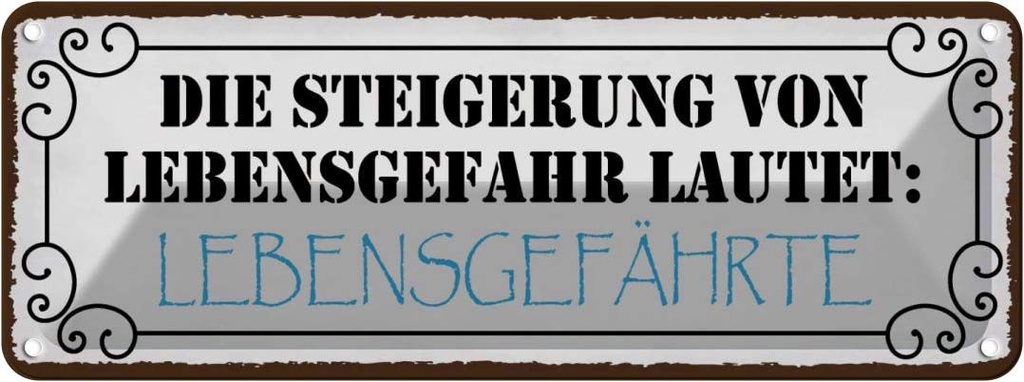 Blechschild 10x27 cm Lebensgefahr Lebensgefährte Spruch Zitat