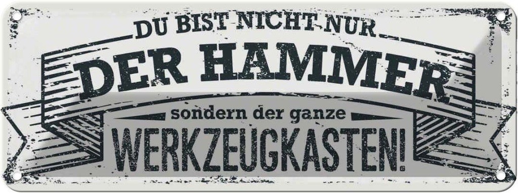 Blechschild 10x27 cm du Bist nicht nur der Hammer Spruch Zitat