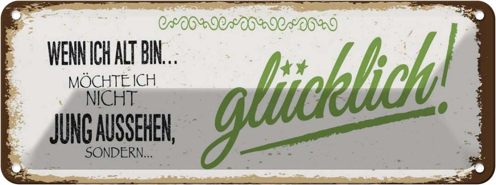 Blechschild 10x27 cm ich alt möchte jung glücklich Spruch Zitat