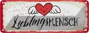 Blechschild 10x27 cm Lieblingsmensch Herz Engel Spruch Zitat