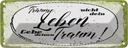 Blechschild 10x27 cm träume nicht dein Leben lebe Traum Spruch Zitat