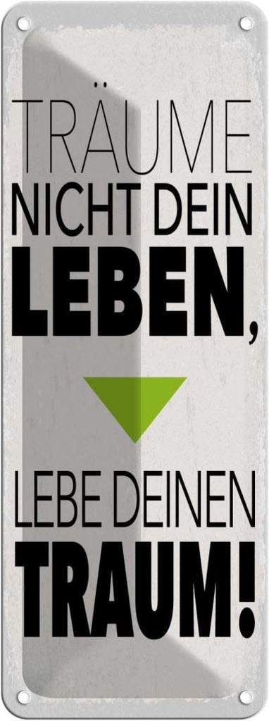 Blechschild 27x10 cm Leben lebe deinen Traum Spruch Zitat