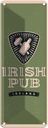 Blechschild 27x10 cm Ireland Irish pub Alkohol