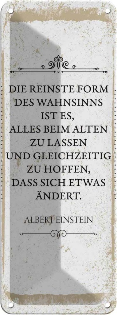 Blechschild 27x10 cm Einstein reinste Form Wahnsinns Spruch Zitat